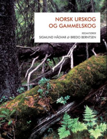 Norsk urskog og gammelskog av Sigmund Hågvar og Bredo Berntsen (Heftet)