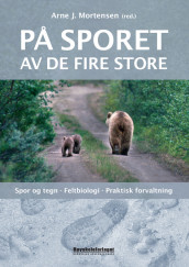 På sporet av de fire store av Arne J. Mortensen (Heftet)