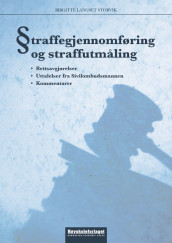 Straffegjennomføring og straffutmåling av Birgitte Langset Storvik (Heftet)