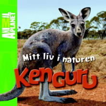 Kenguru av Meredith Costain (Innbundet)