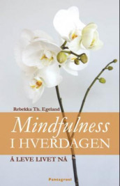 Mindfulness i hverdagen av Rebekka Egeland (Ebok)
