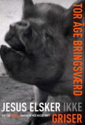 Jesus elsker ikke griser av Tor Åge Bringsværd (Innbundet)
