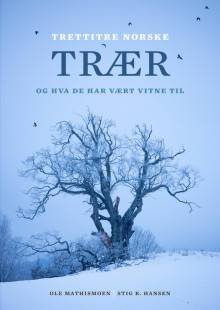 Trettitre norske trær av Ole Mathismoen (Innbundet)