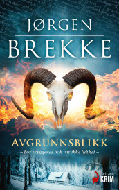 Avgrunnsblikk av Jørgen Brekke (Ebok)