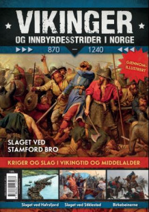 Vikinger og innbyrdesstrider i Norge av Dan Petter Neegaard og Finn Jørgen Solberg (Heftet)