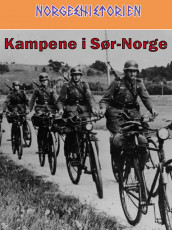 Kampene i Sør-Norge av Per Erik Olsen (Ebok)