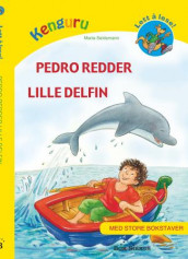 Pedro redder Lille delfin av Maria Seidemann (Innbundet)