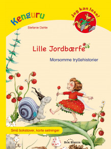 Lille jordbærfe av Stefanie Dahle (Innbundet)
