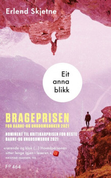 Eit anna blikk av Erlend Skjetne (Ebok)