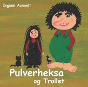 Pulverheksa og trollet av Ingunn Aamodt (Innbundet)