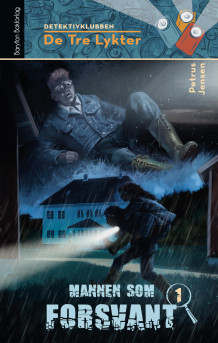 Mannen som forsvant av Petrus Jensen (Ebok)