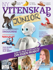 Ny vitenskap av Line Therkelsen (Innbundet)