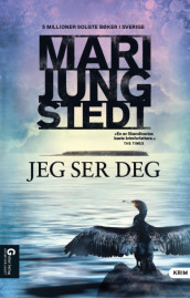 Jeg ser deg av Mari Jungstedt (Heftet)