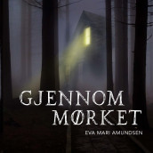 Gjennom mørket av Eva Marí Amundsen (Nedlastbar lydbok)
