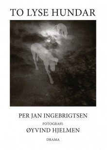 To lyse hundar av Per Jan Ingebrigtsen (Innbundet)