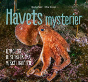 Havets mysterier 3 av Henning Røed (Innbundet)
