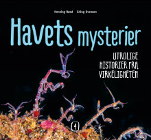 Havets mysterier 4 av Henning Røed (Innbundet)