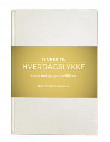 Hverdagslykke av Daniel Bergheim Botnmark (Innbundet)