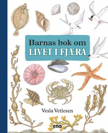 Barnas bok om livet i fjæra av Vesla Vetlesen (Innbundet)