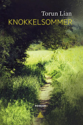 Knokkelsommer av Torun Lian (Ebok)