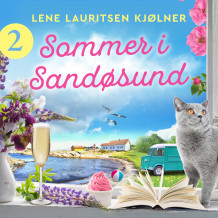 Sommer i Sandøsund - luke 2 av Lene Lauritsen Kjølner (Nedlastbar lydbok)